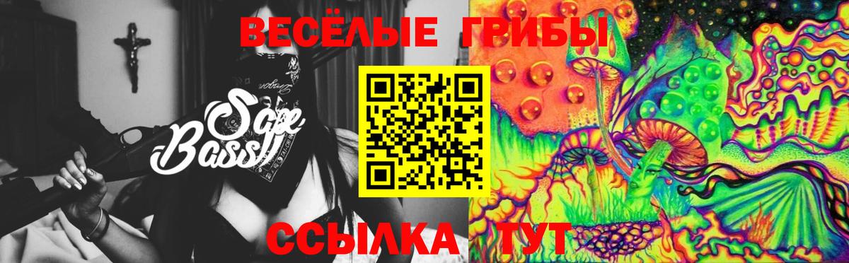 Псилоцибиновые грибы мицелий Советский