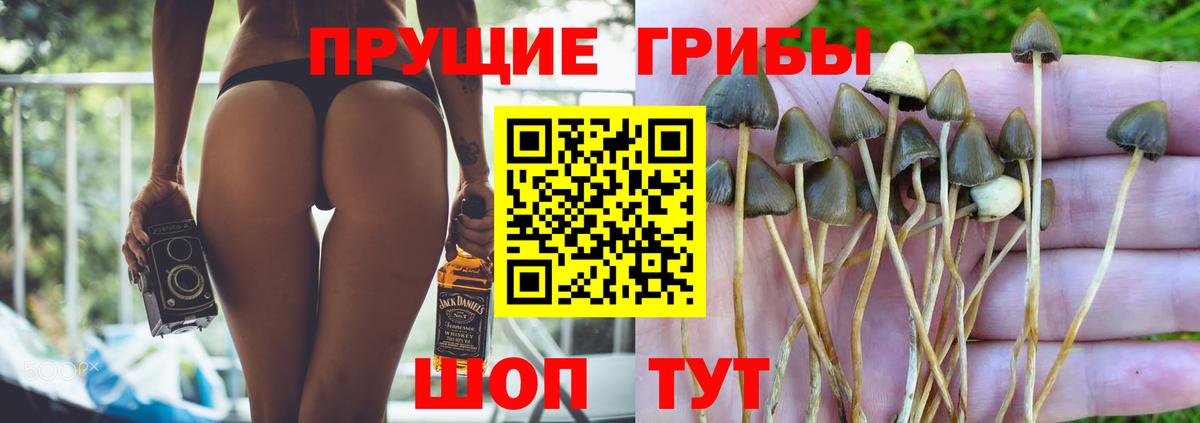 Советский  Псилоцибиновые грибы прущие грибы  Вход с VPN 